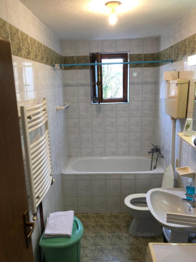 Apartman Djina Vrnjačka Banja Exteriör bild